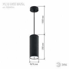 Подвесной светильник Эра  PL12 GX53 BK/SL в Североуральске - severouralsk.ok-mebel.com | фото 8