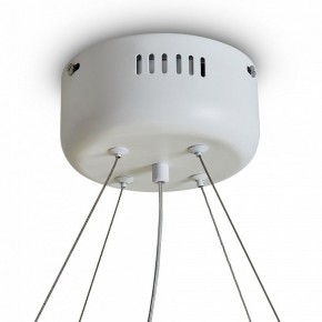 Подвесной светильник Freya Rain FR5546PL-L60W в Североуральске - severouralsk.ok-mebel.com | фото 9