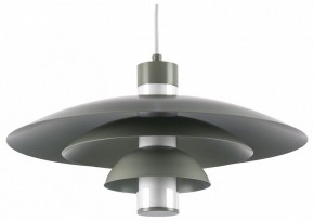 Подвесной светильник Lightstar Erbareo 799019 в Североуральске - severouralsk.ok-mebel.com | фото