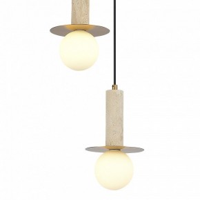Подвесной светильник ST-Luce Earthy SL1194.303.03 в Североуральске - severouralsk.ok-mebel.com | фото 4