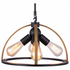Подвесной светильник TopLight Jasmin TL1179H-04BK в Североуральске - severouralsk.ok-mebel.com | фото