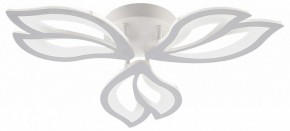 Потолочная люстра Natali Kovaltseva FORTUNA LED LAMPS 81107/2C в Североуральске - severouralsk.ok-mebel.com | фото