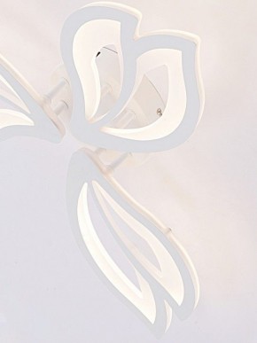 Потолочная люстра Natali Kovaltseva FORTUNA LED LAMPS 81107/2C в Североуральске - severouralsk.ok-mebel.com | фото 11