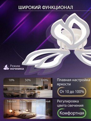 Потолочная люстра Natali Kovaltseva FORTUNA LED LAMPS 81107/2C в Североуральске - severouralsk.ok-mebel.com | фото 5