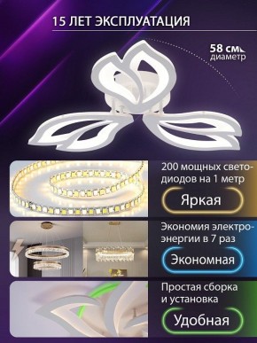 Потолочная люстра Natali Kovaltseva FORTUNA LED LAMPS 81107/2C в Североуральске - severouralsk.ok-mebel.com | фото 6