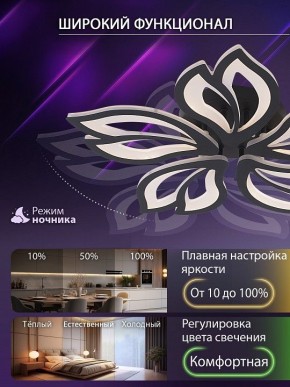 Потолочная люстра Natali Kovaltseva FORTUNA LED LAMPS 81107/5C в Североуральске - severouralsk.ok-mebel.com | фото 6