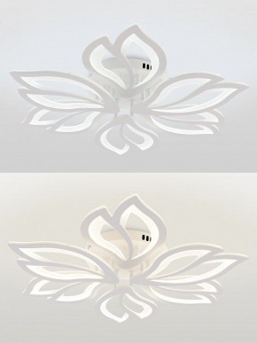 Потолочная люстра Natali Kovaltseva FORTUNA LED LAMPS 81107/6C в Североуральске - severouralsk.ok-mebel.com | фото 4