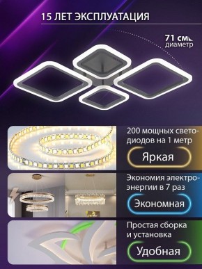 Потолочная люстра Natali Kovaltseva OPTI LED LAMPS 81108/2C в Североуральске - severouralsk.ok-mebel.com | фото 5