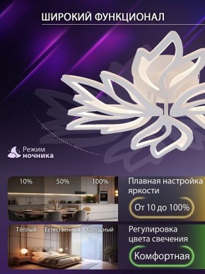Потолочная люстра Natali Kovaltseva RIF LED LAMPS 81118/5C в Североуральске - severouralsk.ok-mebel.com | фото 6