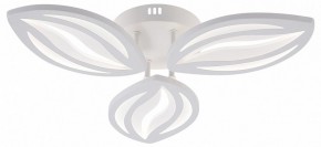 Потолочная люстра Natali Kovaltseva SM LED LAMPS 81456 в Североуральске - severouralsk.ok-mebel.com | фото