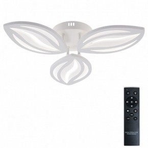 Потолочная люстра Natali Kovaltseva SM LED LAMPS 81456 в Североуральске - severouralsk.ok-mebel.com | фото 2