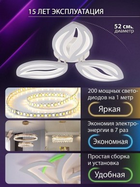 Потолочная люстра Natali Kovaltseva SM LED LAMPS 81456 в Североуральске - severouralsk.ok-mebel.com | фото 5