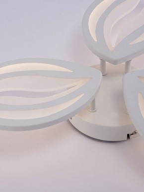 Потолочная люстра Natali Kovaltseva SM LED LAMPS 81456 в Североуральске - severouralsk.ok-mebel.com | фото 9