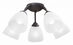 Потолочная люстра Vitaluce V3184 V3737-2/5PL в Североуральске - severouralsk.ok-mebel.com | фото