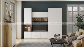 МИЛАН-1 Секция ТВ (ЦРК.МЛН.01 секция ТВ) в Североуральске - severouralsk.ok-mebel.com | фото 3