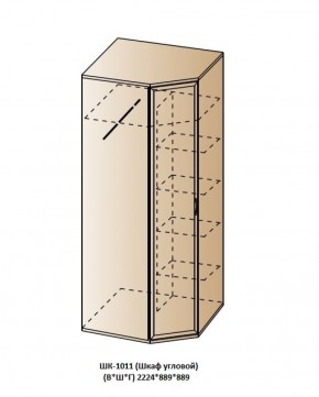 ШК-1011 (Шкаф угловой) в Североуральске - severouralsk.ok-mebel.com | фото