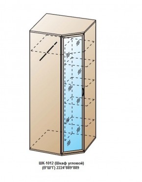 ШК-1012 (Шкаф угловой) в Североуральске - severouralsk.ok-mebel.com | фото
