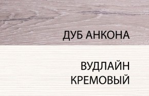 Шкаф 1DZ, OLIVIA, цвет вудлайн крем/дуб анкона в Североуральске - severouralsk.ok-mebel.com | фото 3