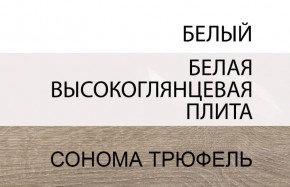Шкаф 2D/TYP 20A, LINATE ,цвет белый/сонома трюфель в Североуральске - severouralsk.ok-mebel.com | фото 4