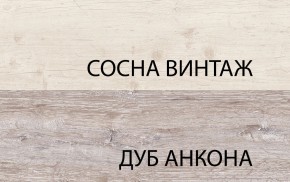 Шкаф 2D1S, MONAKO, цвет Сосна винтаж/дуб анкона в Североуральске - severouralsk.ok-mebel.com | фото