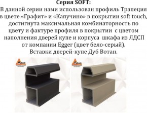 Шкаф-купе 1600 серии SOFT D1+D3+B2+PL1 (2 ящика+1штанга) профиль «Графит» в Североуральске - severouralsk.ok-mebel.com | фото 11