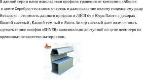 Шкаф-купе 2250 серии SILVER S3+S1+S3Z B22+PL2 (по 2 ящика лев/прав+1штанга+1 полка) профиль «Серебро» в Североуральске - severouralsk.ok-mebel.com | фото 4