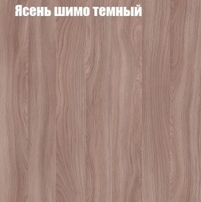 Шкаф-купе «ТАНДЕМ» 2-х дверный в алюминиевом профиле (Дверь К+К) 1600/h2200 в Североуральске - severouralsk.ok-mebel.com | фото 7
