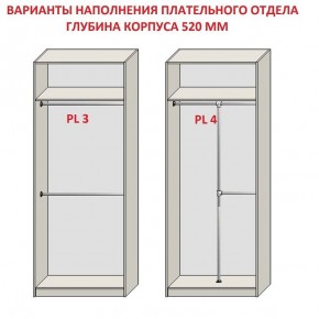 Шкаф распашной серия «ЗЕВС» (PL3/С1/PL2) в Североуральске - severouralsk.ok-mebel.com | фото 10