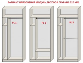 Шкаф распашной серия «ЗЕВС» (PL3/С1/PL2) в Североуральске - severouralsk.ok-mebel.com | фото 5