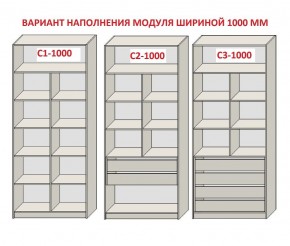 Шкаф распашной серия «ЗЕВС» (PL3/С1/PL2) в Североуральске - severouralsk.ok-mebel.com | фото 7