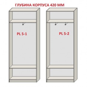 Шкаф распашной серия «ЗЕВС» (PL3/С1/PL2) в Североуральске - severouralsk.ok-mebel.com | фото 8