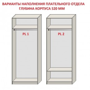 Шкаф распашной серия «ЗЕВС» (PL3/С1/PL2) в Североуральске - severouralsk.ok-mebel.com | фото 9