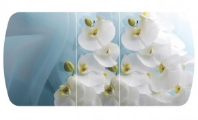 Стол Бостон-3 (Белая Орхидея) 1100/1420*700, опора Брифинг в Североуральске - severouralsk.ok-mebel.com | фото 2