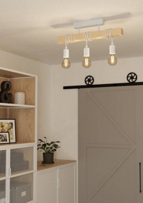 Светильник на штанге Eglo TOWNSHEND 44082 в Североуральске - severouralsk.ok-mebel.com | фото 2