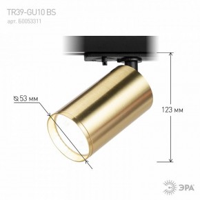 Светильник на штанге Эра  TR39-GU10 BS в Североуральске - severouralsk.ok-mebel.com | фото 6