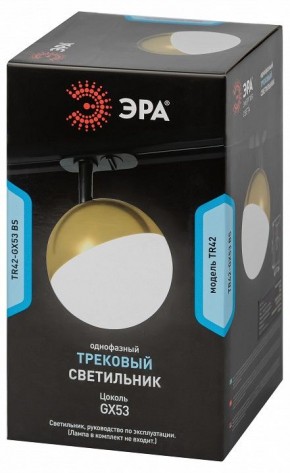 Светильник на штанге Эра  TR42-GX53 BS в Североуральске - severouralsk.ok-mebel.com | фото 6