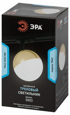 Светильник на штанге Эра  TR42-GX53 MG в Североуральске - severouralsk.ok-mebel.com | фото 6