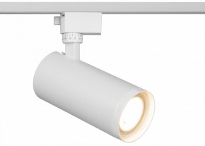 Светильник на штанге Эра  TR59 - 3030 WH в Североуральске - severouralsk.ok-mebel.com | фото