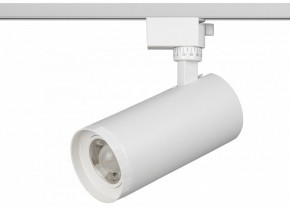 Светильник на штанге Эра  TR59 - 3030 WH в Североуральске - severouralsk.ok-mebel.com | фото 2