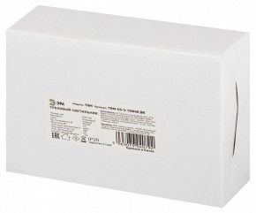 Светильник на штанге Эра  TRM-S5-3-12W4K-BK в Североуральске - severouralsk.ok-mebel.com | фото 8