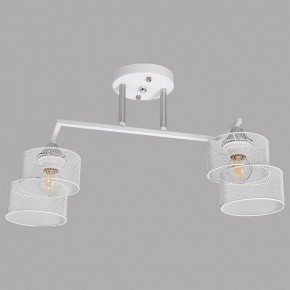 Светильник на штанге Imex MD.4252 MD.4252-2-S-WH+CH в Североуральске - severouralsk.ok-mebel.com | фото