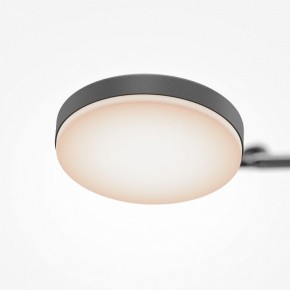 Светильник на штанге Maytoni Fad MOD070CL-L15B3K1 в Североуральске - severouralsk.ok-mebel.com | фото 7