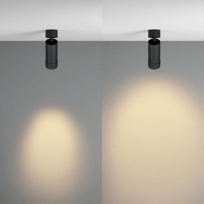 Светильник на штанге Maytoni Focus Zoom C055CL-L12W2.7K-Z-B в Североуральске - severouralsk.ok-mebel.com | фото 3
