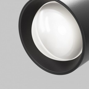 Светильник на штанге Maytoni Lens TR217-4-15WTW-DD-B в Североуральске - severouralsk.ok-mebel.com | фото 12