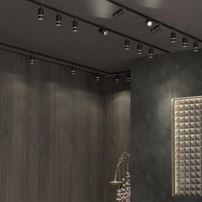 Светильник на штанге Novotech Elina 370777 в Североуральске - severouralsk.ok-mebel.com | фото 4